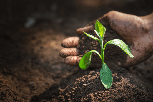 agricultura em angola calcário agricola gesso mix agricola terrafort