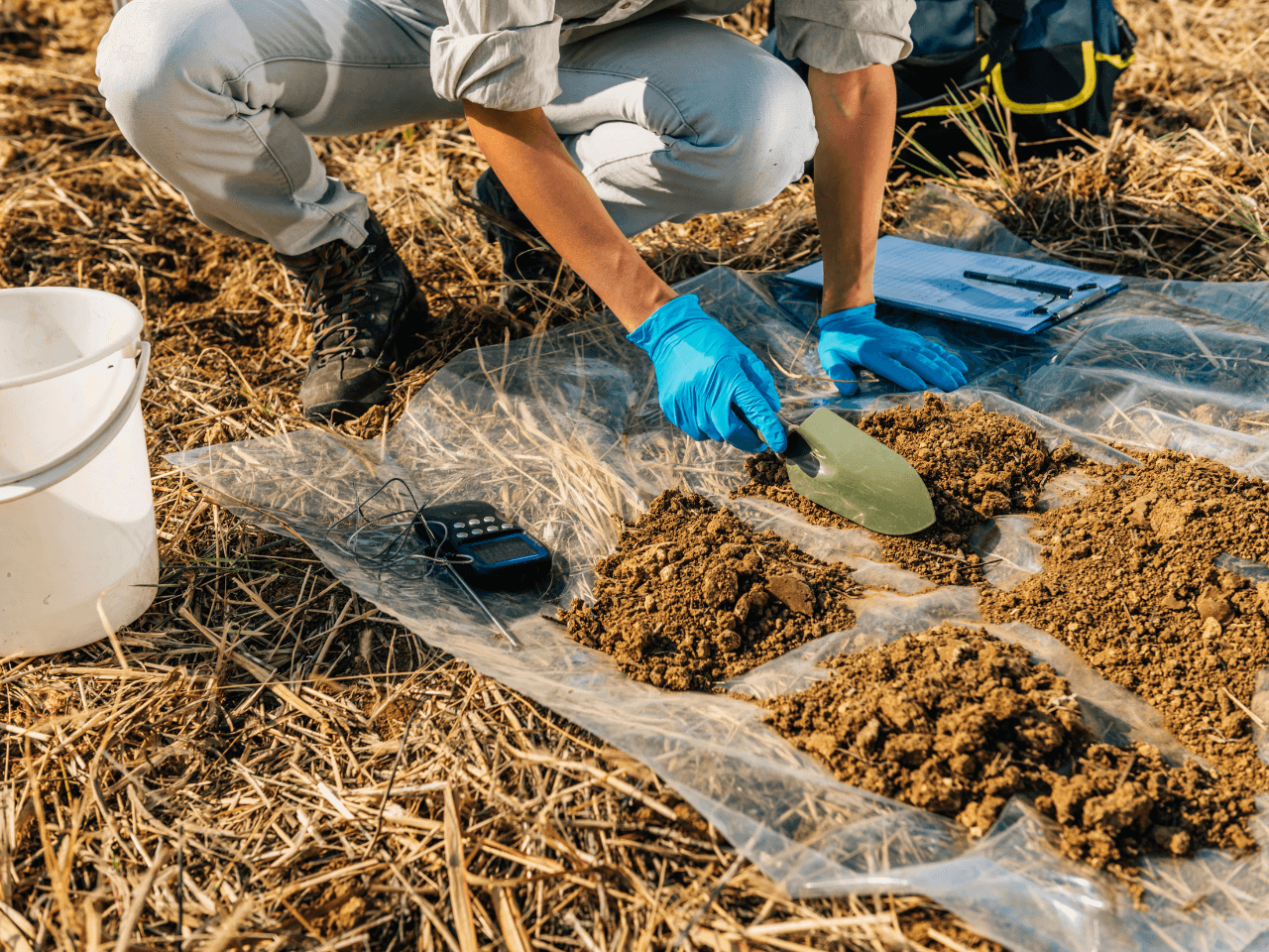 Como diagnosticar o estado do solo terrafort agricultura angolana