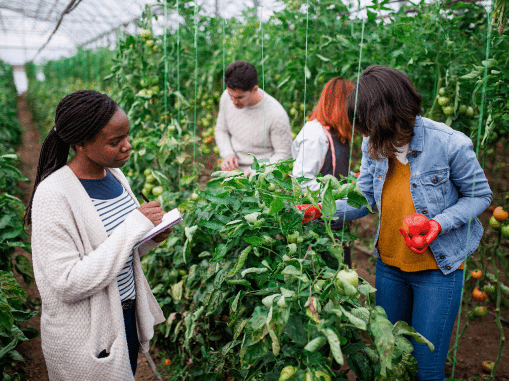 benefícios do gesso agrícola angola